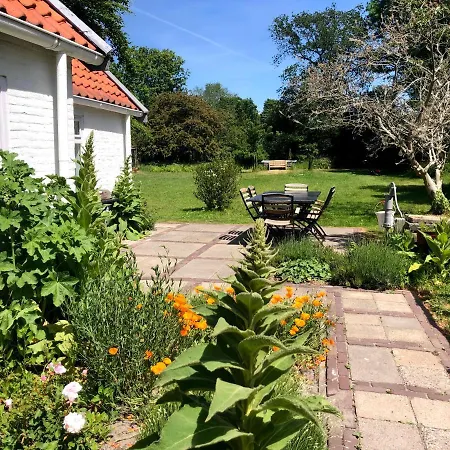 Ferienhaus Duinroos - Dune Rose