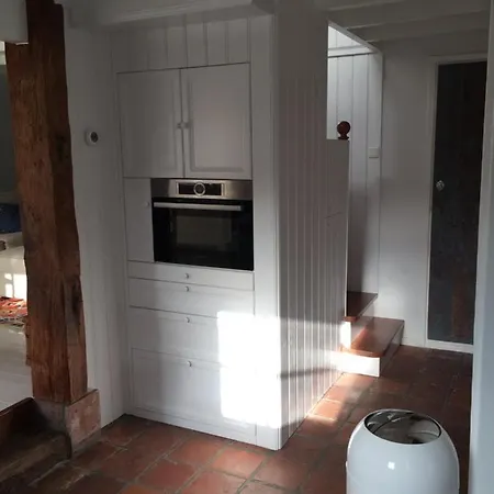 Duinroos - Dune Rose Oostvoorne