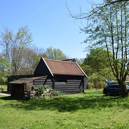 Duinroos - Dune Rose Oostvoorne