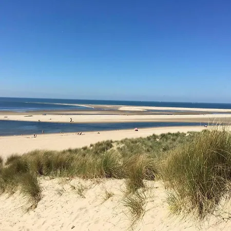 Duinroos - Dune Rose * Oostvoorne