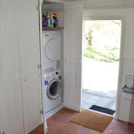 Duinroos - Dune Rose