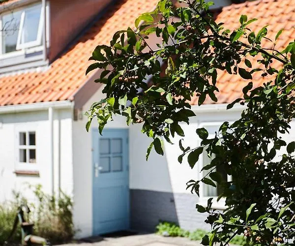 Duinroos - Dune Rose * Oostvoorne