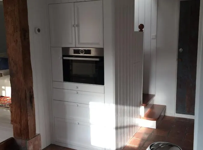 Duinroos - Dune Rose Oostvoorne