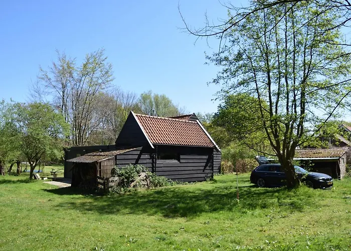 Duinroos - Dune Rose Oostvoorne