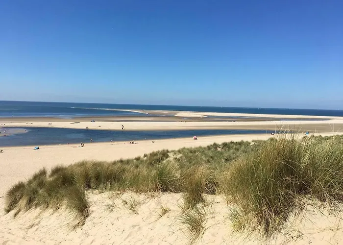 Duinroos - Dune Rose * Oostvoorne