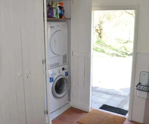 Duinroos - Dune Rose