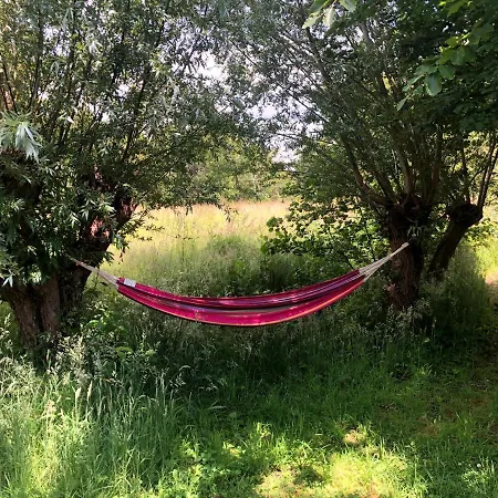 Vakantiehuis Duinroos - Dune Rose Oostvoorne