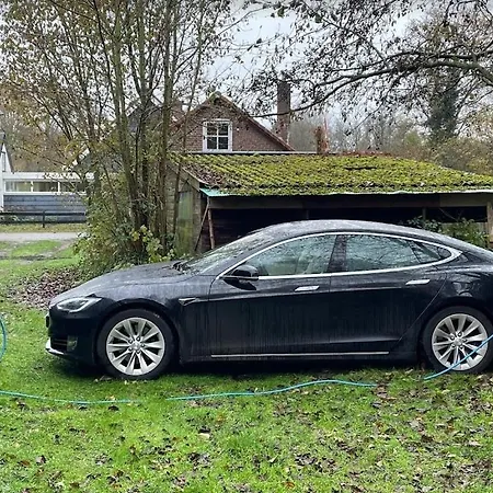 Duinroos - Dune Rose Сasa de vacaciones