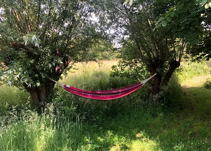 Сasa de vacaciones Duinroos - Dune Rose Oostvoorne