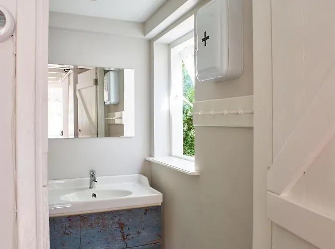 Duinroos - Dune Rose * Oostvoorne